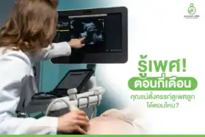 รู้เพศตอนกี่เดือน